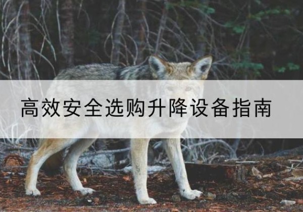 沈河升降货梯厂家推荐-*安全选购升降设备指南