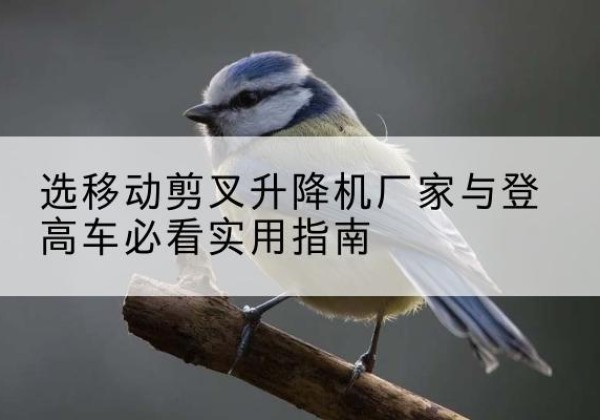 沈河电动升降机厂家-选移动剪叉升降机厂家与登高车必看实用指南